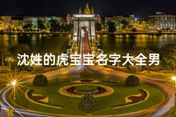 沈姓男孩名字大全-沈姓男孩起名字大全-沈姓名字大全姓名