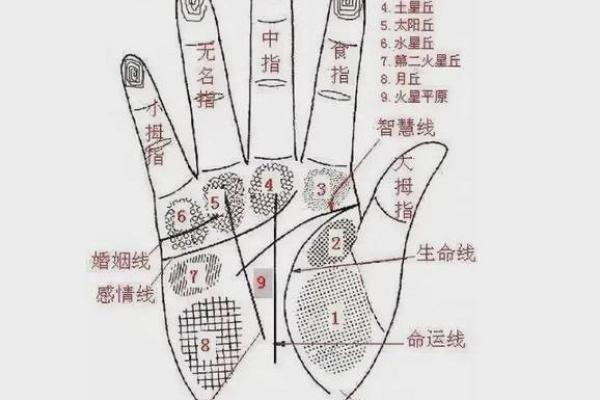 凯帝阿手相算命图解大全05