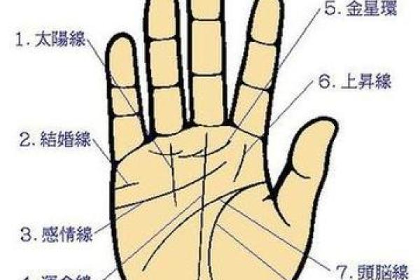 凯帝阿手相算命图解大全05