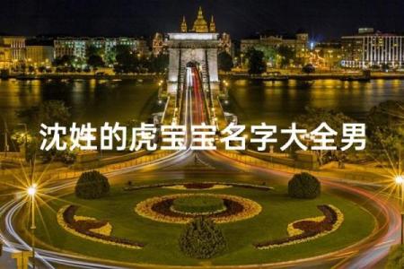 沈姓男孩名字大全-沈姓男孩起名字大全-沈姓名字大全姓名