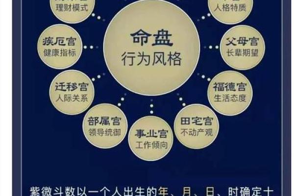 紫薇斗数中官禄