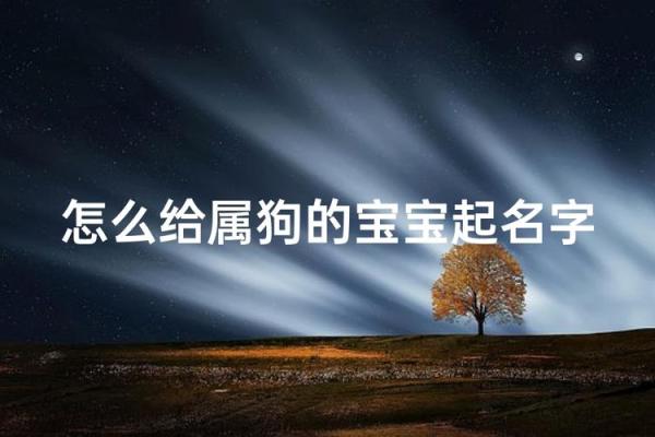 上午10点出生的属狗男孩如何取名，宜用什么字姓名