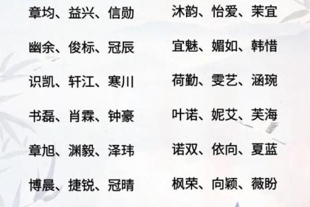 2021年母亲节出生的男孩起什么名字好？姓名