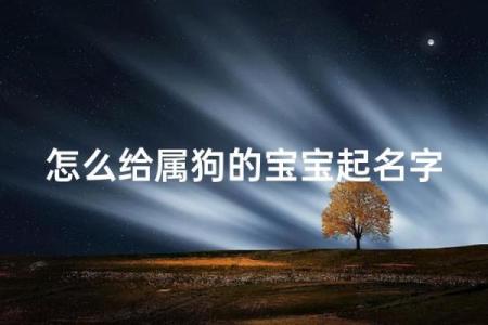 上午10点出生的属狗男孩如何取名，宜用什么字姓名