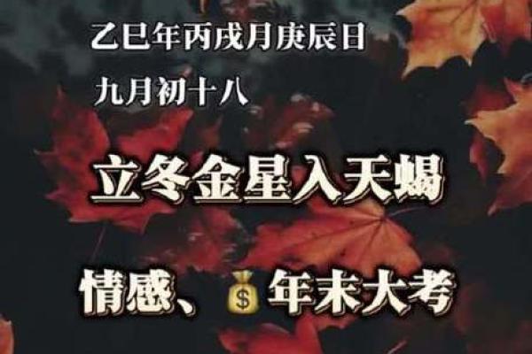 不会眼高手低，稳重求进的星座