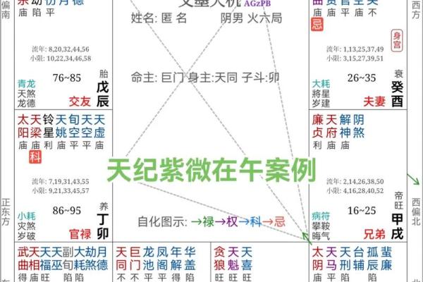 紫薇斗数易学难精