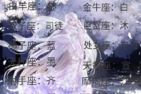 十二星座古代身份女