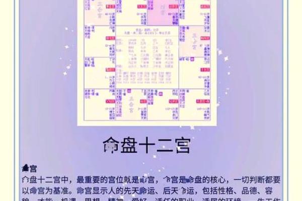 免费查紫薇星盘入宫是什么意思 免费查紫薇星盘入宫是什么意思