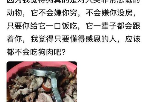 哪些人八字中不宜吃狗肉 哪些人八字中不宜吃狗肉