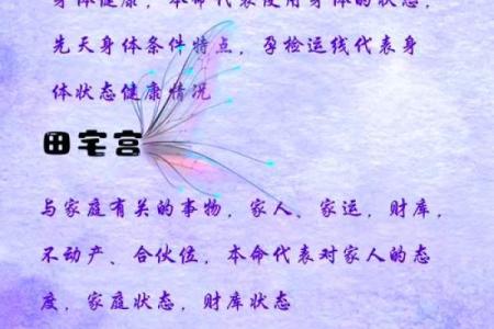 免费查紫薇星盘入宫是什么意思