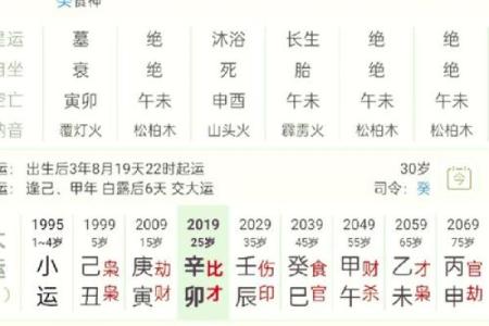 紫薇星盘十年大运是灾吗