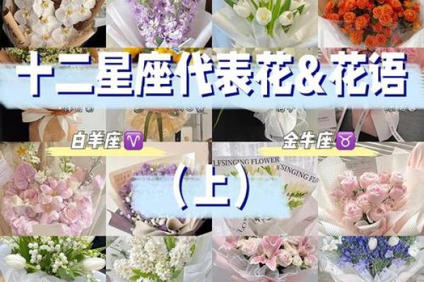 十二星座专属守护花都有哪些呢 十二星座专属守护花都有哪些呢
