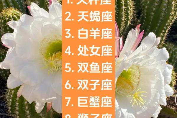 处女和天秤最配哪个星座 处女和天秤最配哪个星座