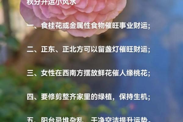 女人如何旺事业,事业风水讲究 女人如何旺事业,事业风水讲究