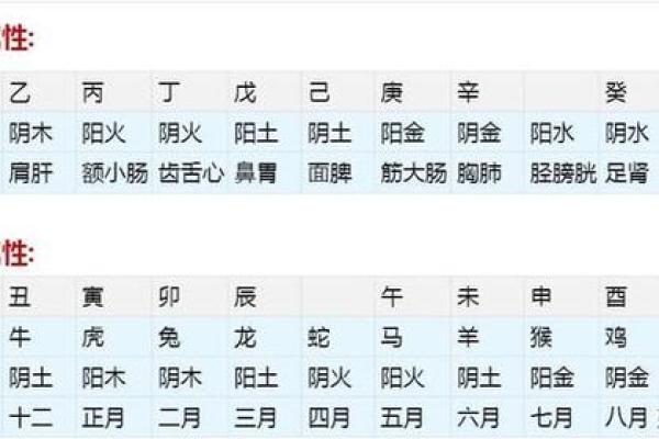 算命的说,出生在这三个时辰的孩子,智商高,命硬,日后福... 算命的说,出生在这三个时辰的孩子,智商高,命硬,日后福...