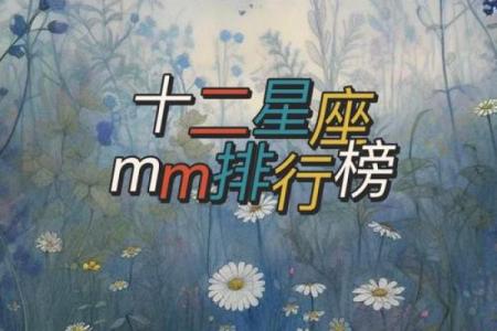 请问11月17日出生的人属于哪个星座