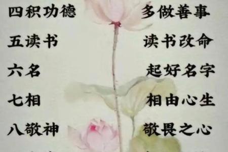 叶曼一命二运三风水