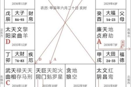 紫微斗数诸星落诸宫之：天相星财帛宫详解