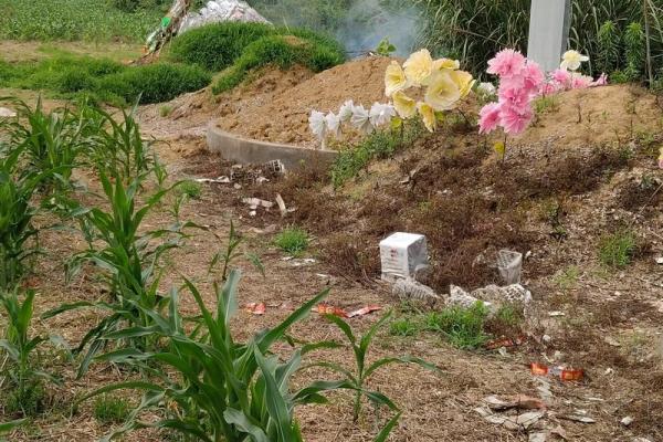 大林木命上坟的忌讳详解 上坟有什么风水禁忌 大林木命上坟的忌讳详解 上坟有什么风水禁忌