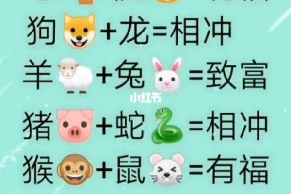 属相配对测试 属相配对测试