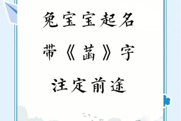兔宝宝起名用字的禁忌-姓名学-姓名分析姓名
