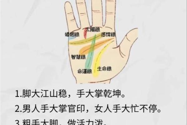 女生手相看命运，解析八字大全