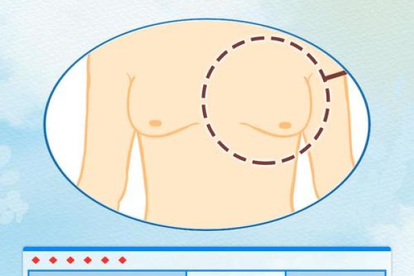 八字奶是什么意思