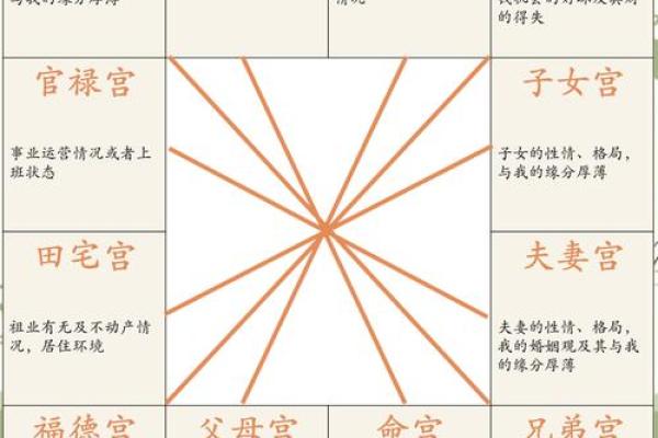 紫薇斗数案例解析 紫薇斗数案例解析