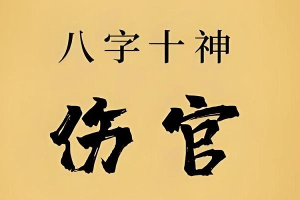家居风水摆设如何化解女命伤官见官 家居风水摆设如何化解女命伤官见官