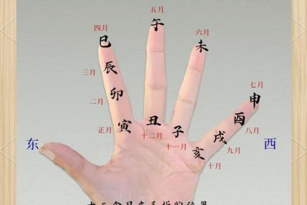 用抛硬币法算命 用抛硬币法算命