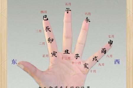 用抛硬币法算命