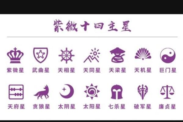 紫薇斗数天月星