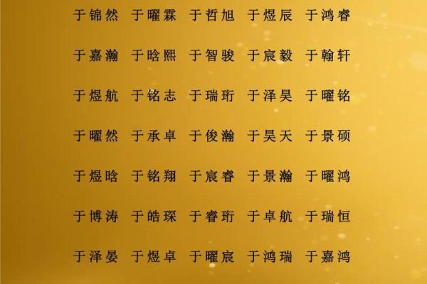 属猪子时出生的男孩如何起名，适合什么字姓名