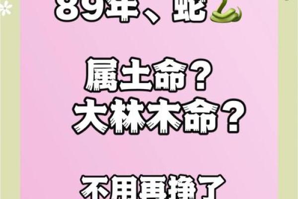 田字命算命的说