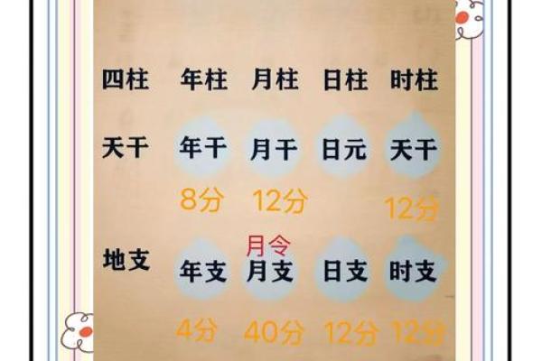 怎么看八字阴阳,八字是怎么数阴阳