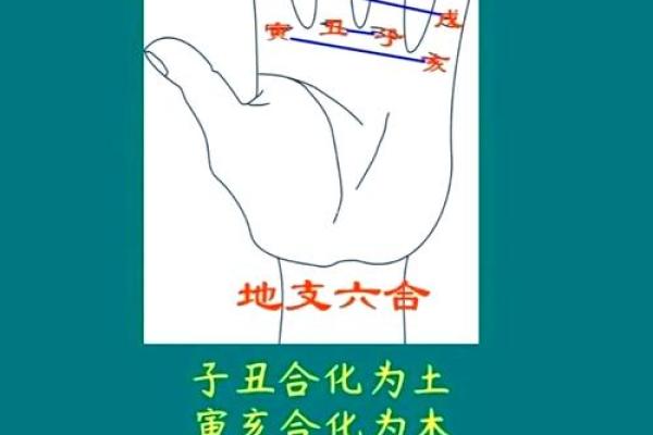 八字相合 八字相合