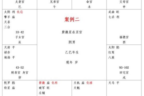 紫薇星盘什么意思