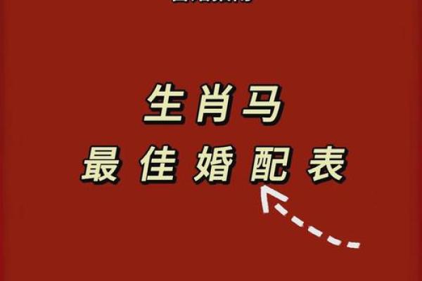 鼠马的八字不合