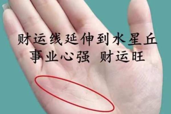财运线算命 财运线算命