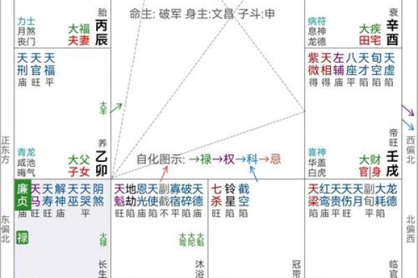 紫薇斗数看子女宫