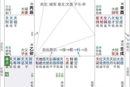 紫薇斗数看子女宫