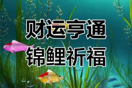 家居财运风水，带给你好运连连