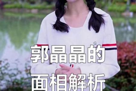 郭晶晶紫薇斗数