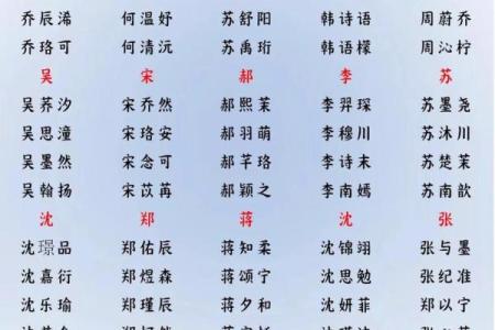 2019年3月30号辛时出生的男孩起名方法姓名