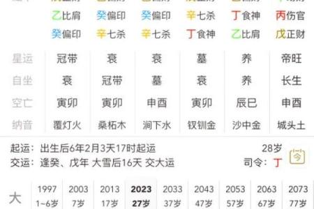 八字排盘软件下载