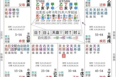 紫薇斗数测试APP