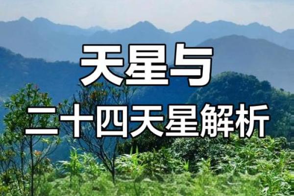 天顶星座就是中天星座吗