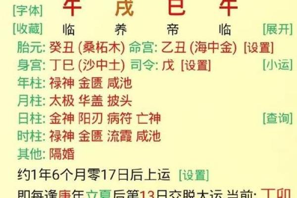 八字全阳的男命 办亊效率高