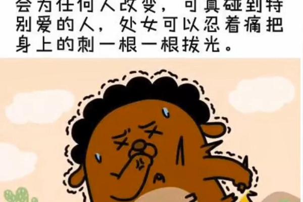 爱得十分卑微的星座有哪些