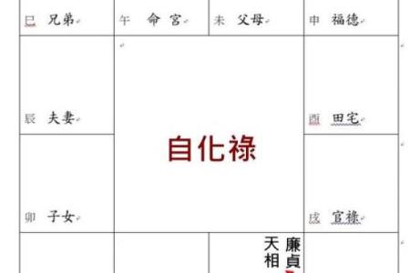 紫微斗数之宫干四化法
